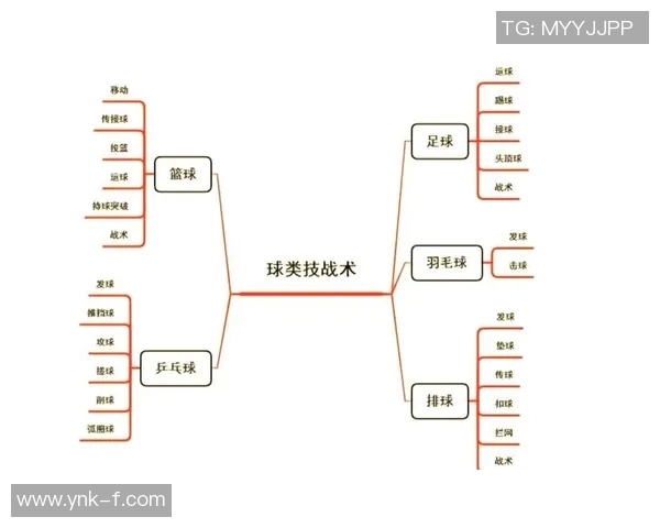 南京排球队的阵地战体系与排球战术的深度解析与应用探讨