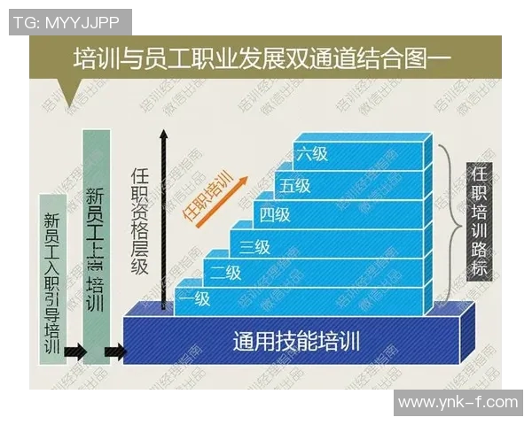 武汉乒乓球队防反革新之路探秘与未来展望