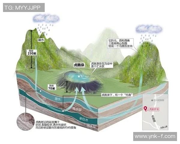 深入分析杭州排球队边路渗透战术的特点与应用策略