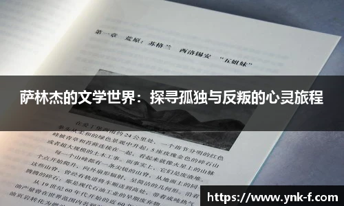 乐发∨II